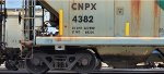 CNPX 4382